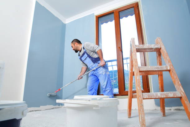Best Mold Remediation for Healthcare Facilities  in Devola, OH