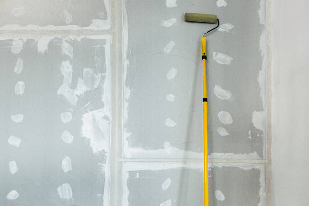 Best Post-Construction Mold Inspection  in Devola, OH