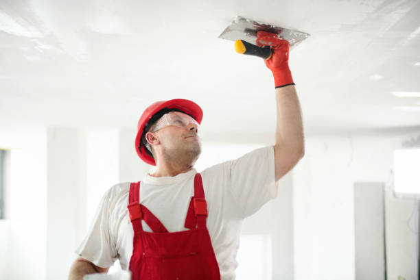 Best Environmental Consulting for Mold Prevention  in Devola, OH