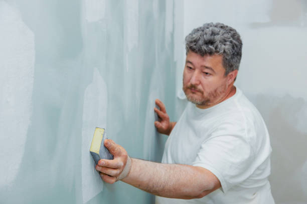 Mold Documentation for Insurance Claims in Devola, OH