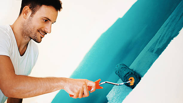 Best Mold Damage Restoration  in Devola, OH