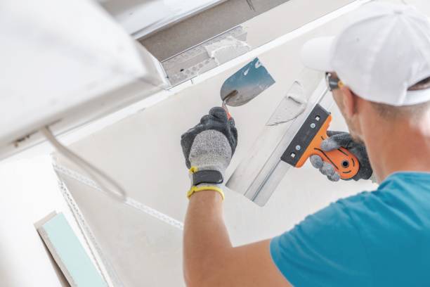 Best Post-Construction Mold Inspection  in Devola, OH